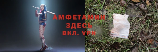 сатива Нея