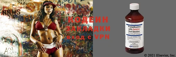 сатива Нея