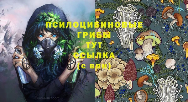 сатива Нея