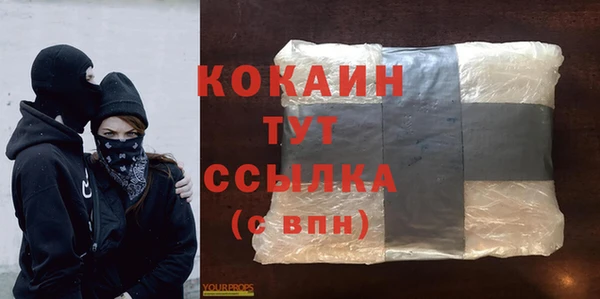 мдпв Билибино