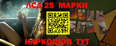 молекула духа Будённовск
