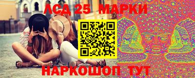 молекула духа Будённовск