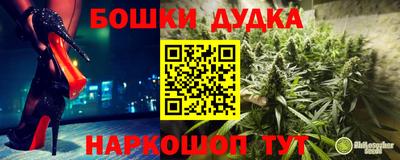 молекула духа Будённовск