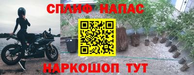 дмт Бузулук