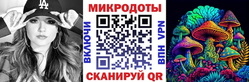 Псилоцибиновые грибы Cubensis  Сыктывкар 