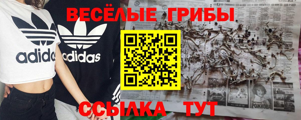 Псилоцибиновые грибы мицелий  Галлюциногенные грибы MAGIC MUSHROOMS  Сыктывкар 