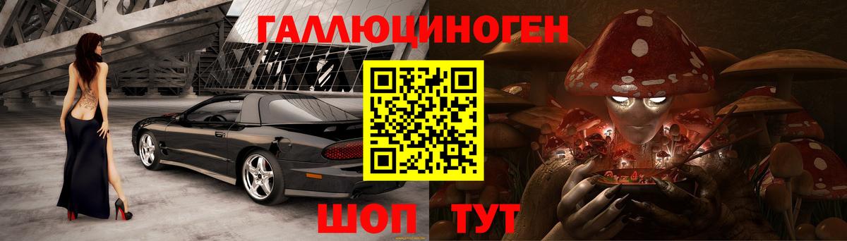 Галлюциногенные грибы Psilocybe Сыктывкар